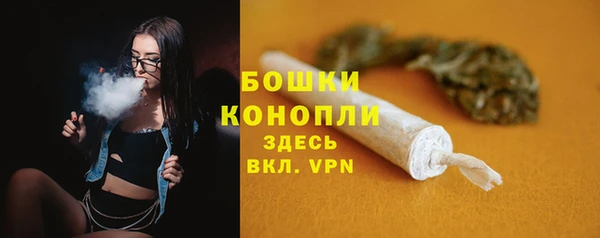 прущие крисы Каменногорск