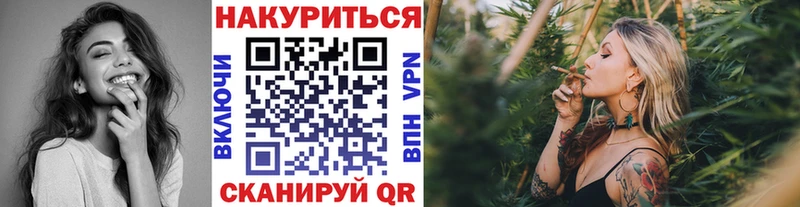 что такое наркотик Тайга Шишки марихуана сатива
